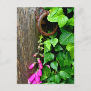 THE SECRET DOOR POSTCARD
