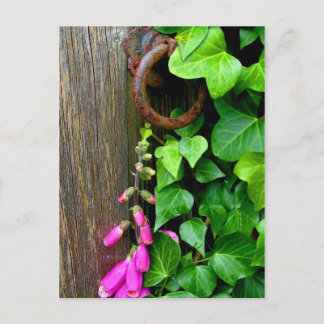 THE SECRET DOOR POSTCARD