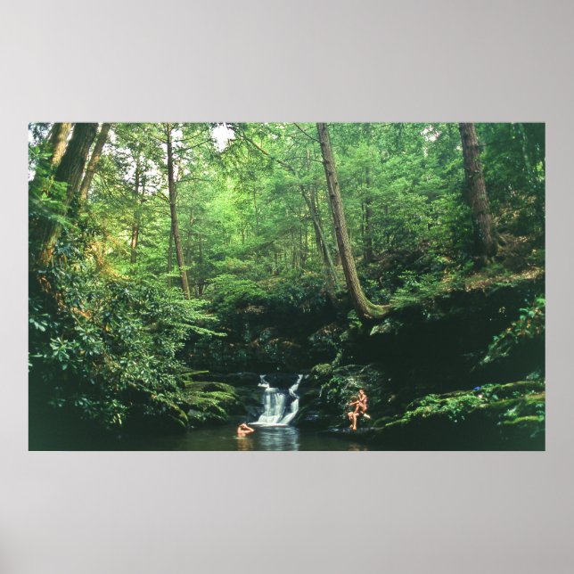 The Secret Swimming Hole Poster (Front)