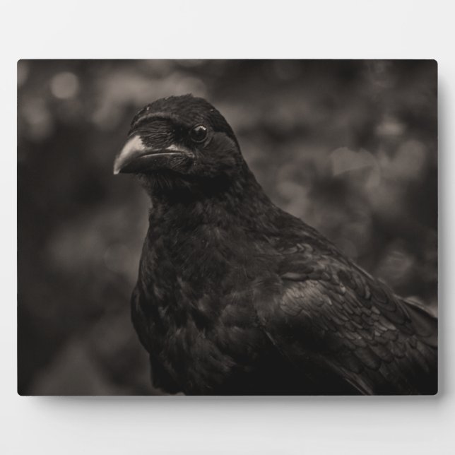 The Seeker Plaque (Front)