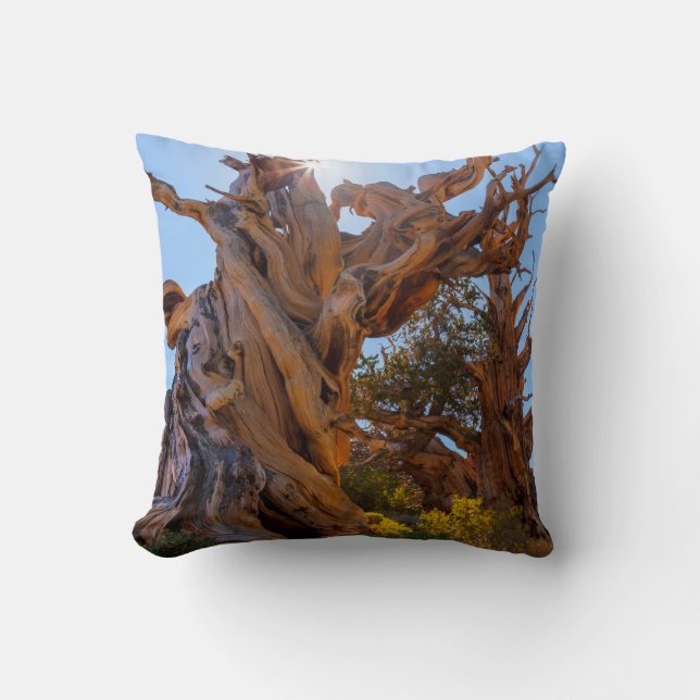 The Sentinel Tree Throw Pillow (Front)