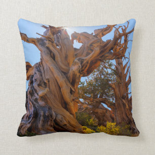 The Sentinel Tree Throw Pillow