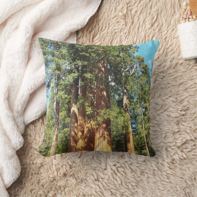 The Sequoia and Kings Canyon National Parks Throw Pillow (Blanket)