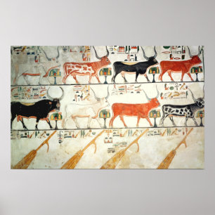 The seven celestial cows and the sacred bull poster