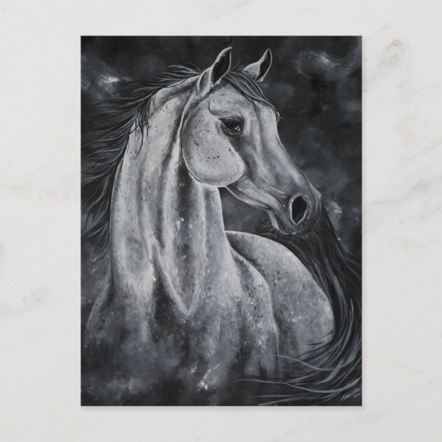 The shadow of night postcard (Front)