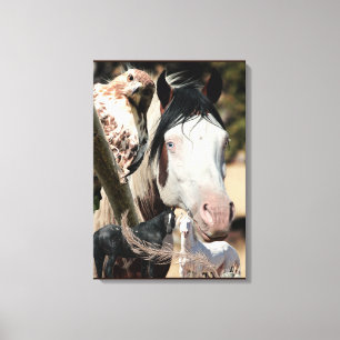 The Shaman Canvas Print