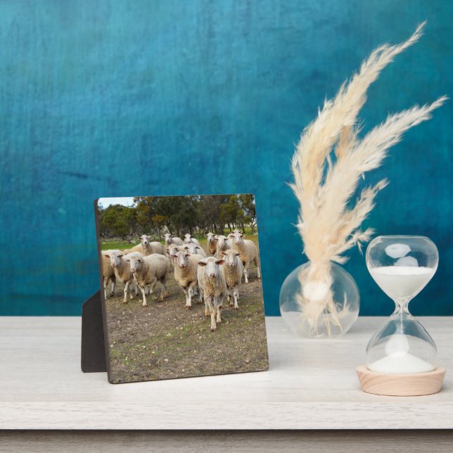 The Sheep Come Marching,  Plaque (Insitu)