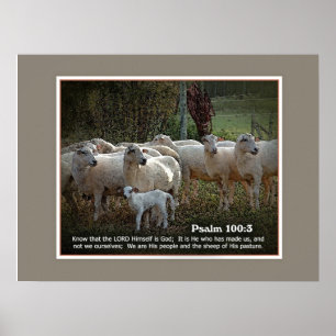 The Sheep of His PasturewScripture Poster