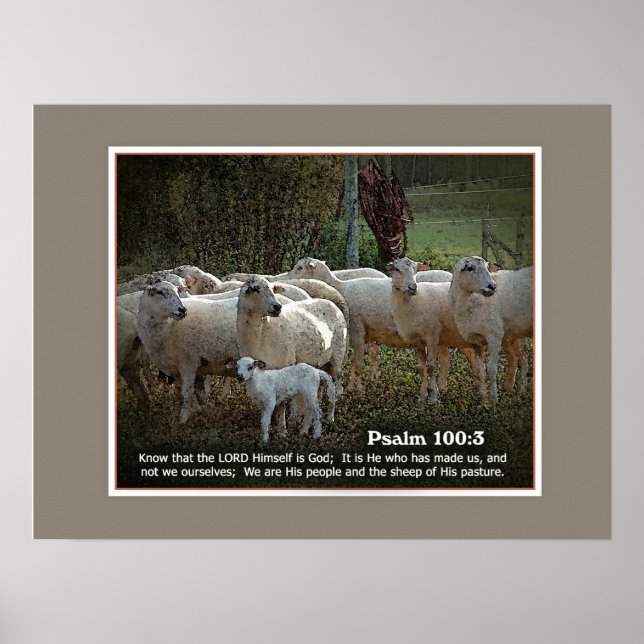 The Sheep of His PasturewScripture Poster (Front)