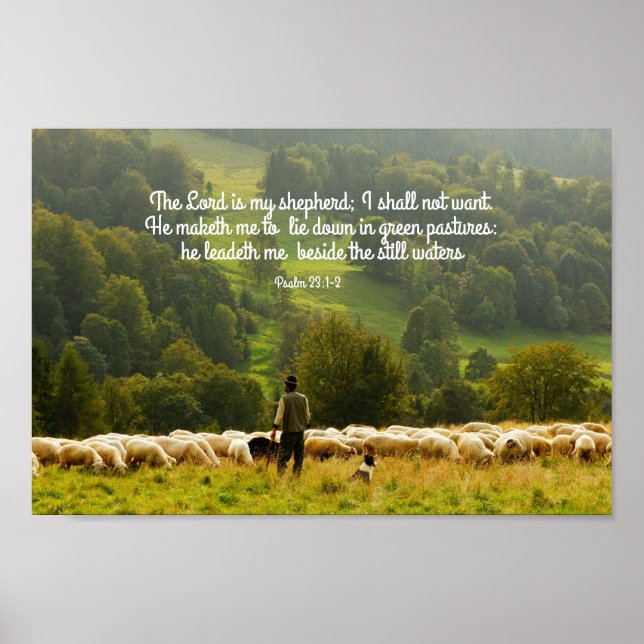 The Shepherd and His Sheep Psalm 23 Poster (Front)