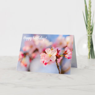 The Shining Beauty Of Pink Sakura Flowers Card
