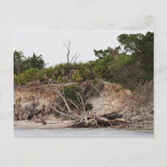 The Shoreline Holiday Postcard (Front)