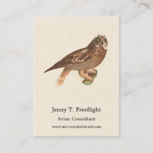 The Short-eared Owl (Otus palustris) New York Bird Business Card