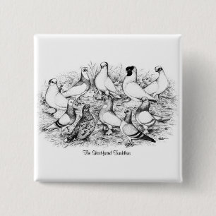 The Short-faced Tumbler Pigeons 2 Inch Square Button