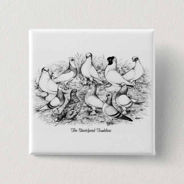 The Short-faced Tumbler Pigeons 2 Inch Square Button (Front)