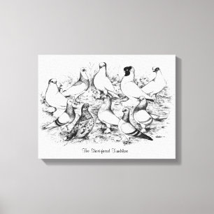 The Short-faced Tumbler Pigeons Canvas Print