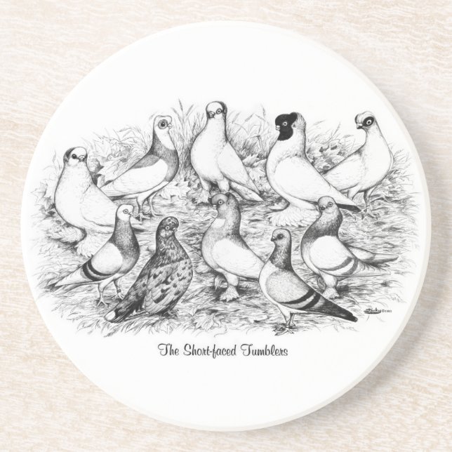 The Short-faced Tumbler Pigeons Coaster (Front)