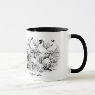 The Short-faced Tumbler Pigeons Mug