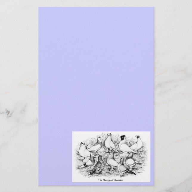The Short-faced Tumbler Pigeons Stationery (Front)