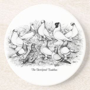 The Short-faced Tumblers Coaster