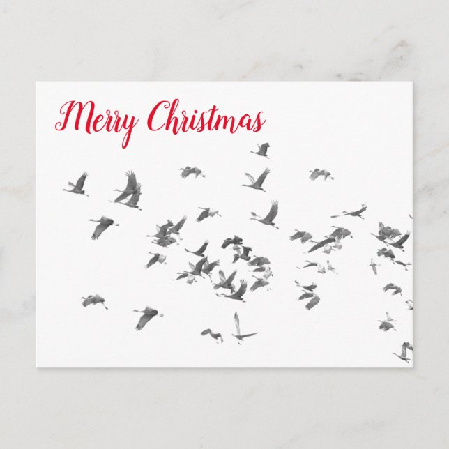 The simplicity of Sandhills Holiday Postcard (Front)