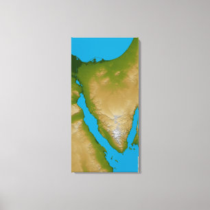 The Sinai Peninsula Canvas Print