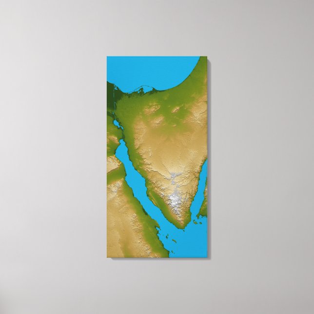 The Sinai Peninsula Canvas Print (Front)
