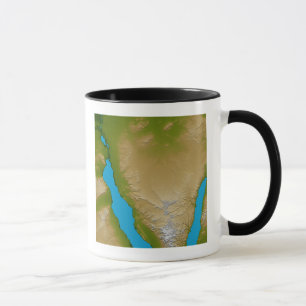 The Sinai Peninsula Mug