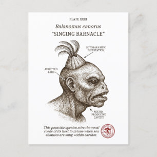 The Singing Barnacle - Lovecraftian biology Holiday Postcard