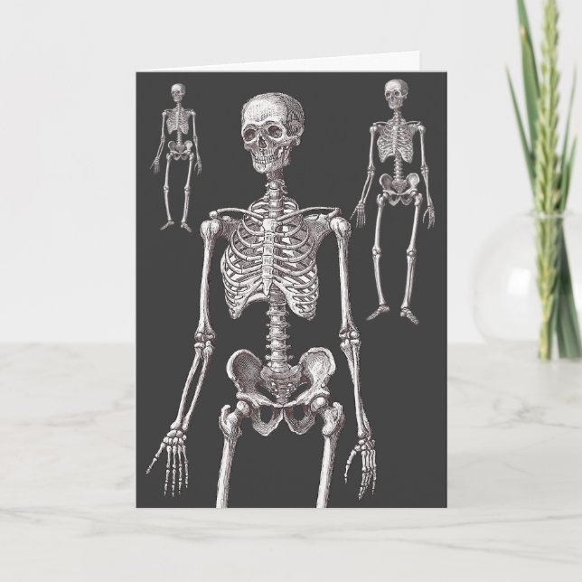 The Skeletons Are Out of the Closet! Greeting Card (Front)