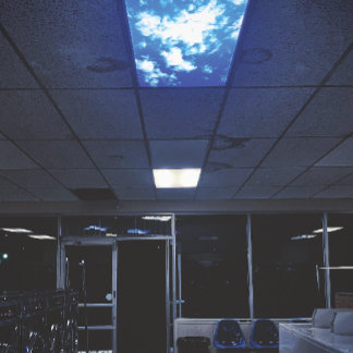 the sky is falling poster