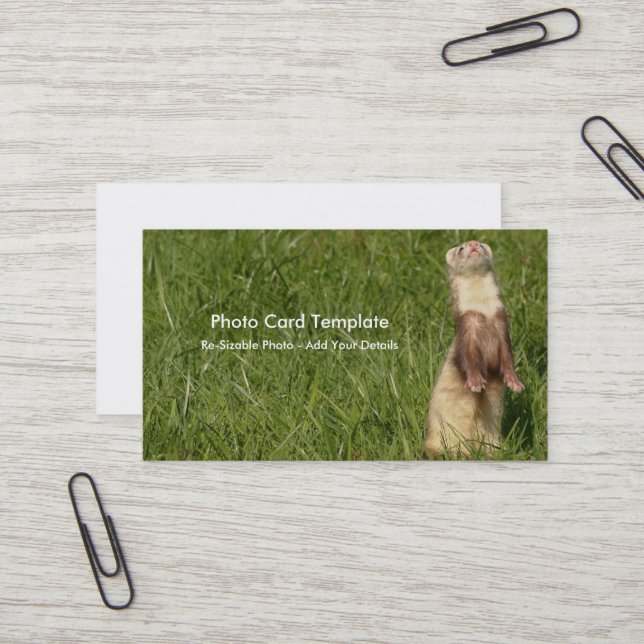 The Sky is Up Ferrets Business Card (Front/Back In Situ)