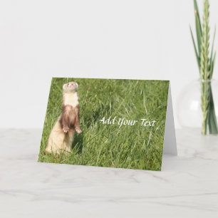 The Sky is Up Ferrets Holiday Card