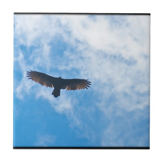 THE SKY TILE