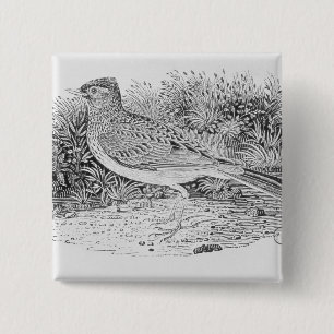 The Skylark 2 Inch Square Button