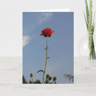 The Sky's The Limit Greeting Card