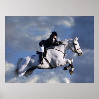 The Sky's The Limit Poster