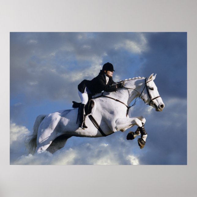 The Sky's The Limit Poster (Front)