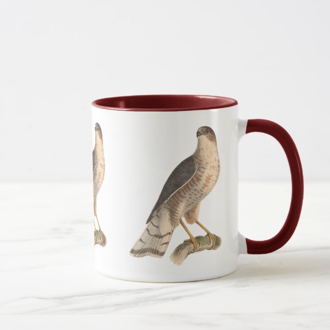 The Slate-coloured Hawk	(Astur fuscus) Mug (Right)
