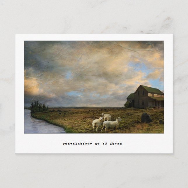 The Slaughter - Postcard (Front)