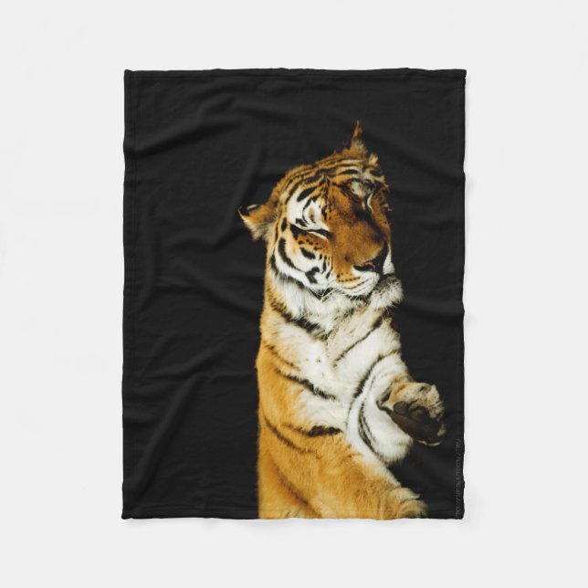 The Sleeping Amur Fleece Blanket (Front)