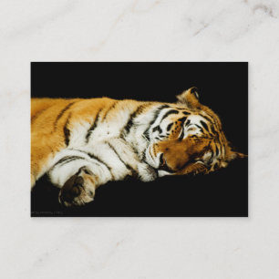 The Sleeping Amur Mini Print Business Card