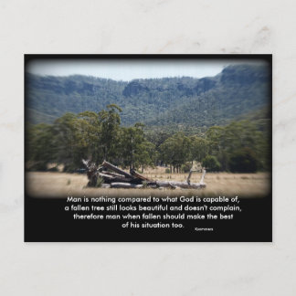 The Sleepy Log, Man is nothing compared to what... Postcard