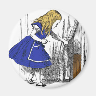 The Small Door Magnet