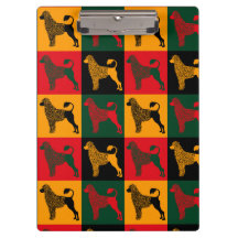 The smart Portuguese water dog 