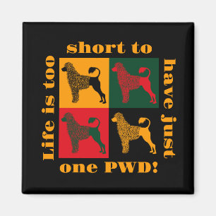 The smart Portuguese water dog Magnet