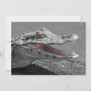 The smiling crocodile and the flies - Costa Rica Invitation