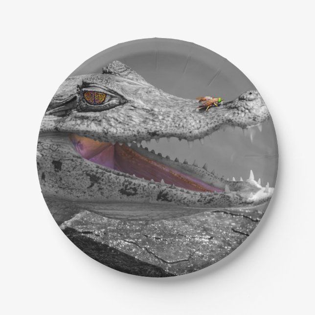 The smiling crocodile and the flies paper plate (Front)