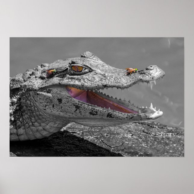 The smiling crocodile and the flies poster (Front)