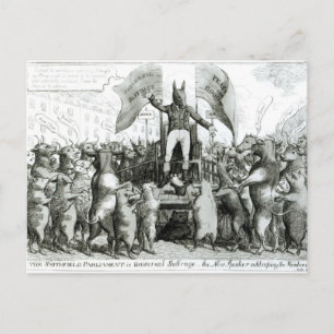 The Smithfield Parliament: Universal Suffrage Postcard